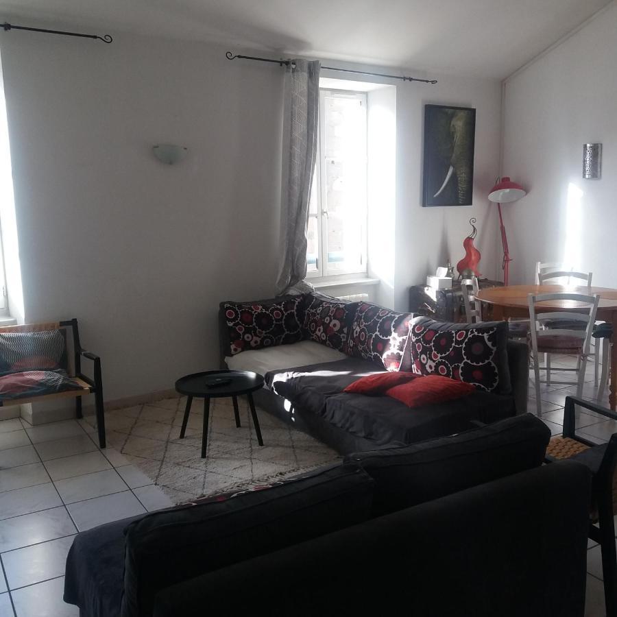 Appart Lumineux Carcassonne Centre Ville Zewnętrze zdjęcie